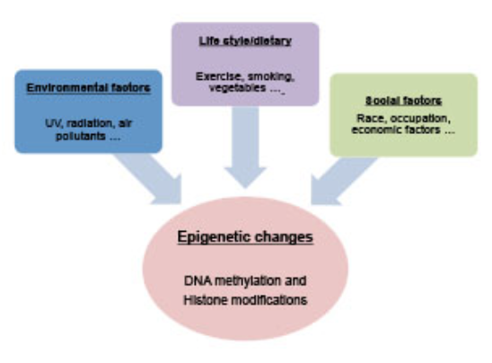 DMEAS is the user-friendly tool dedicated to analyze methylation entropy